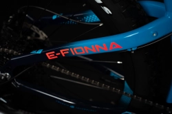 e-Fionna 9.8-S