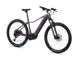 e-Guera 9.11-(715 Wh)