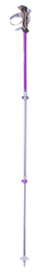 Pinguin Ascent FL Cork - Violet