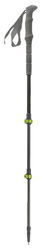 Pinguin Carbon FL Foam zelená