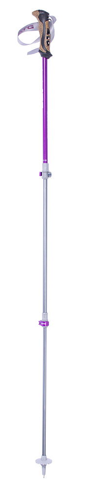 Pinguin Ascent FL Cork - Violet